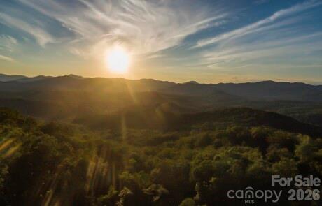 New Forest Mountain - Commercial Sale