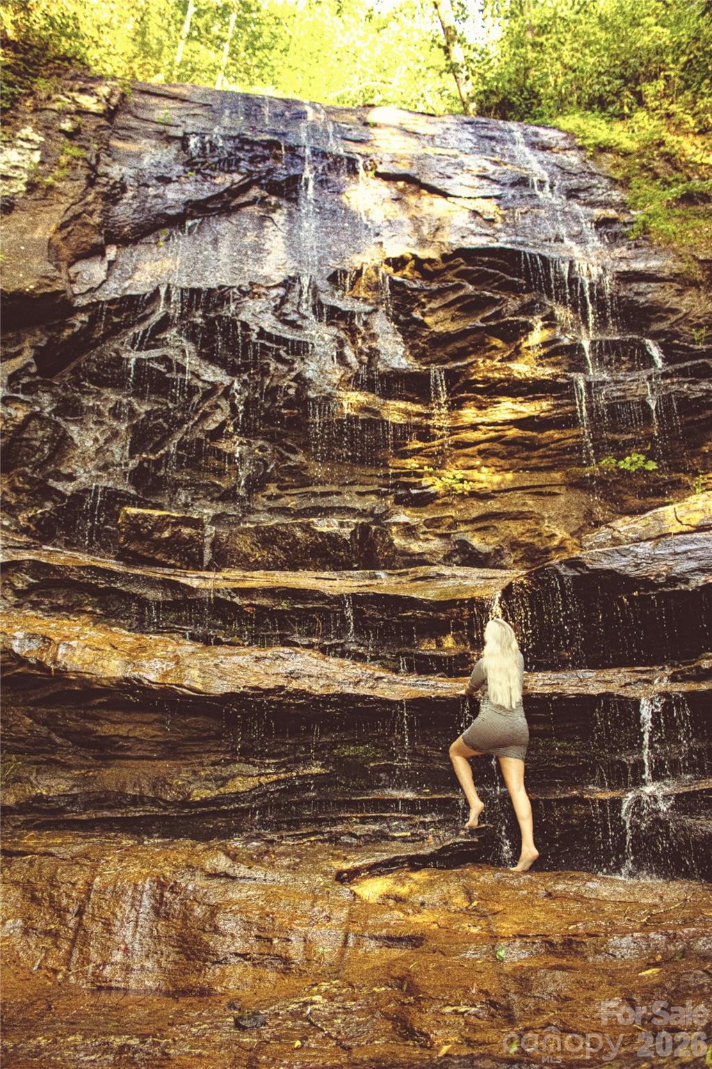 New Forest Mountain - Commercial Sale