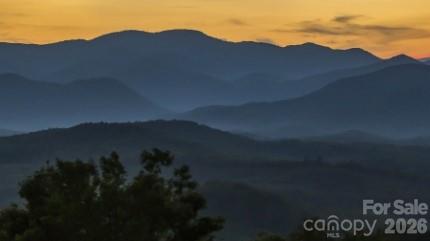 New Forest Mountain - Commercial Sale