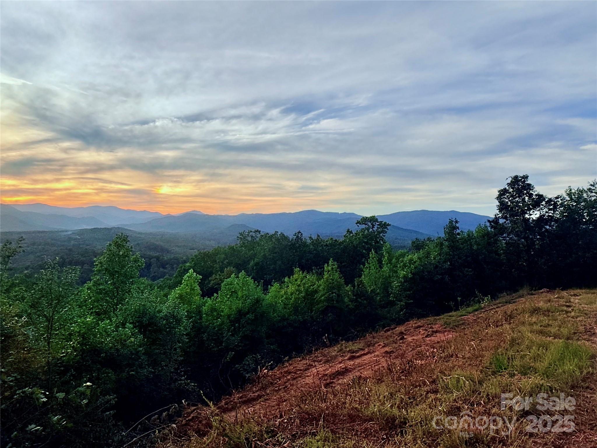 New Forest Mountain - Commercial Sale