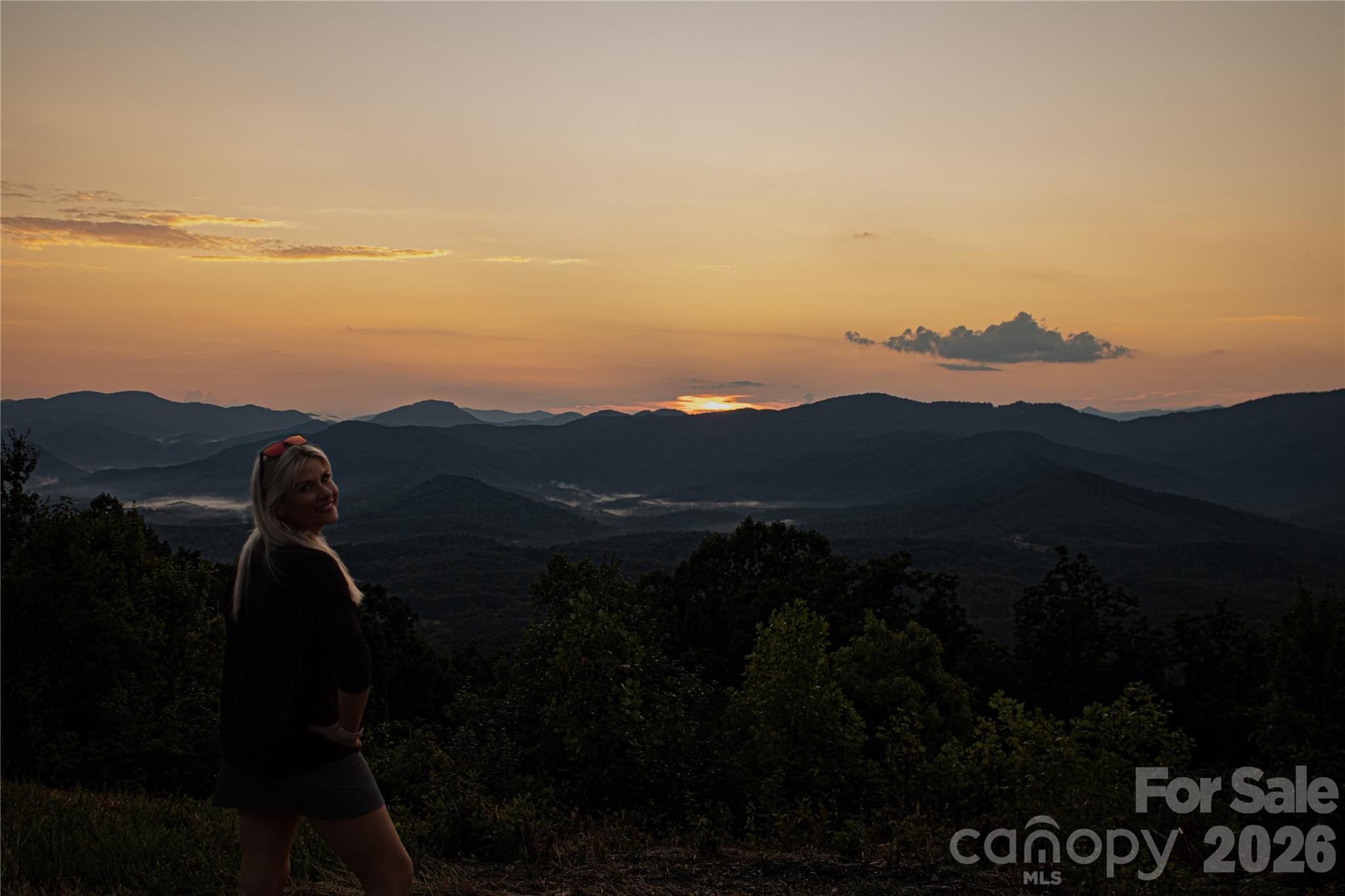 New Forest Mountain - Commercial Sale