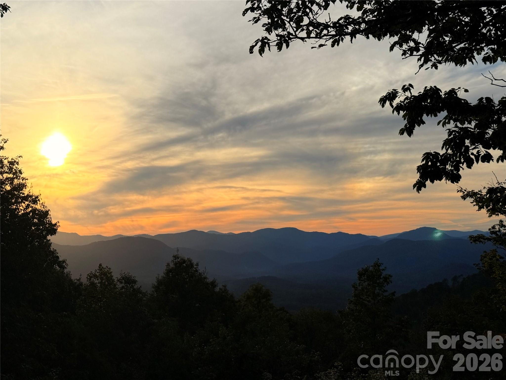 New Forest Mountain - Commercial Sale