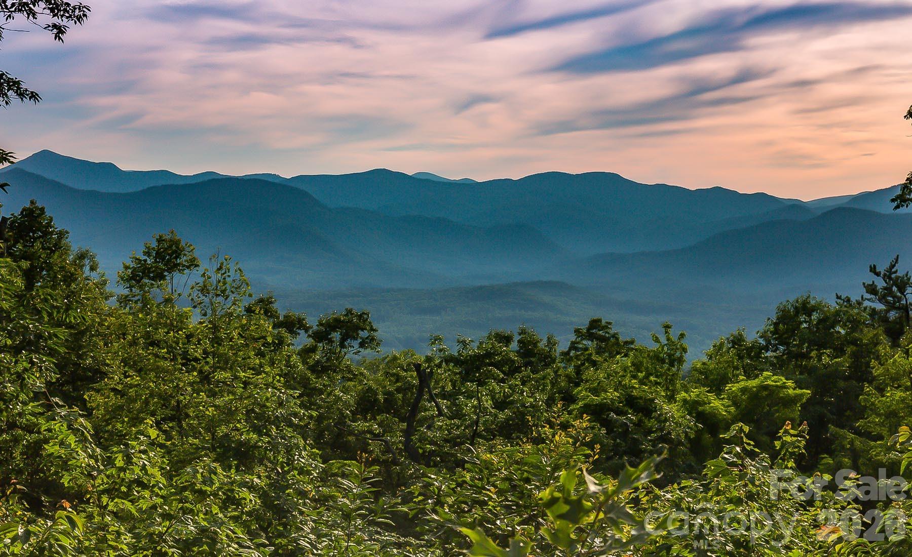 New Forest Mountain - Commercial Sale