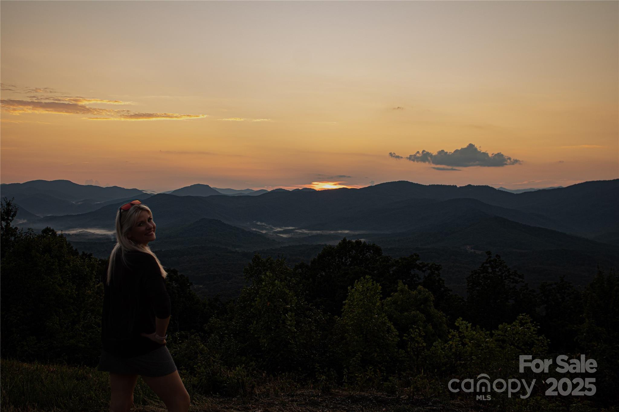 New Forest Mountain - Commercial Sale