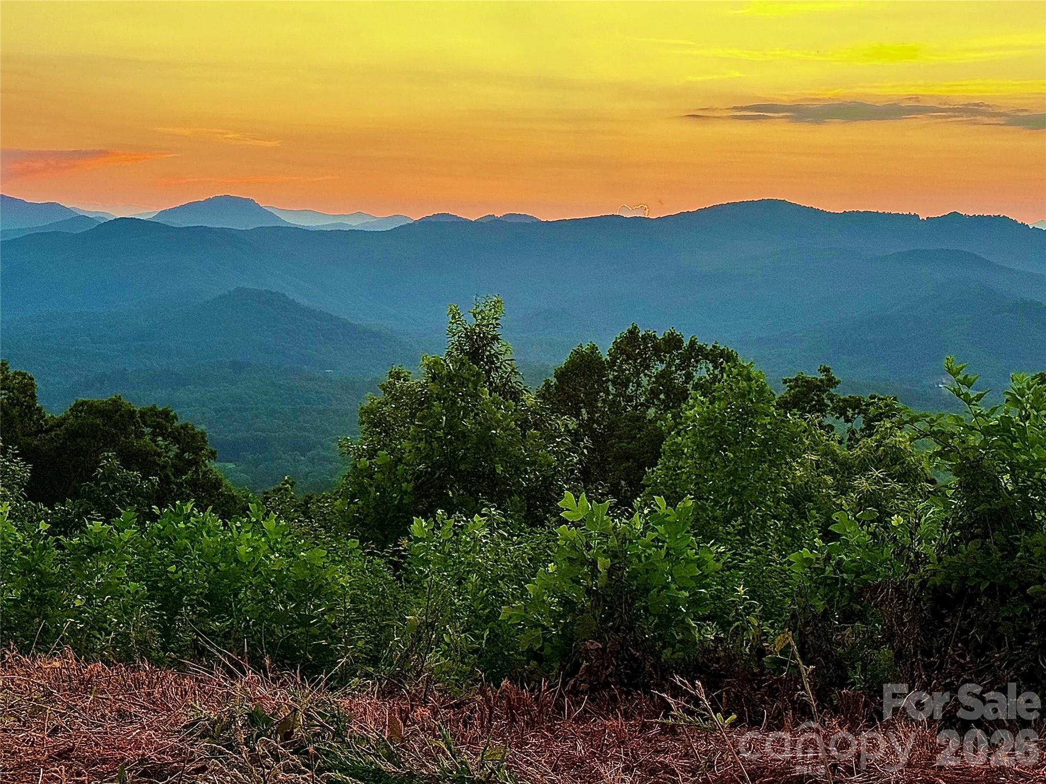 New Forest Mountain - Commercial Sale