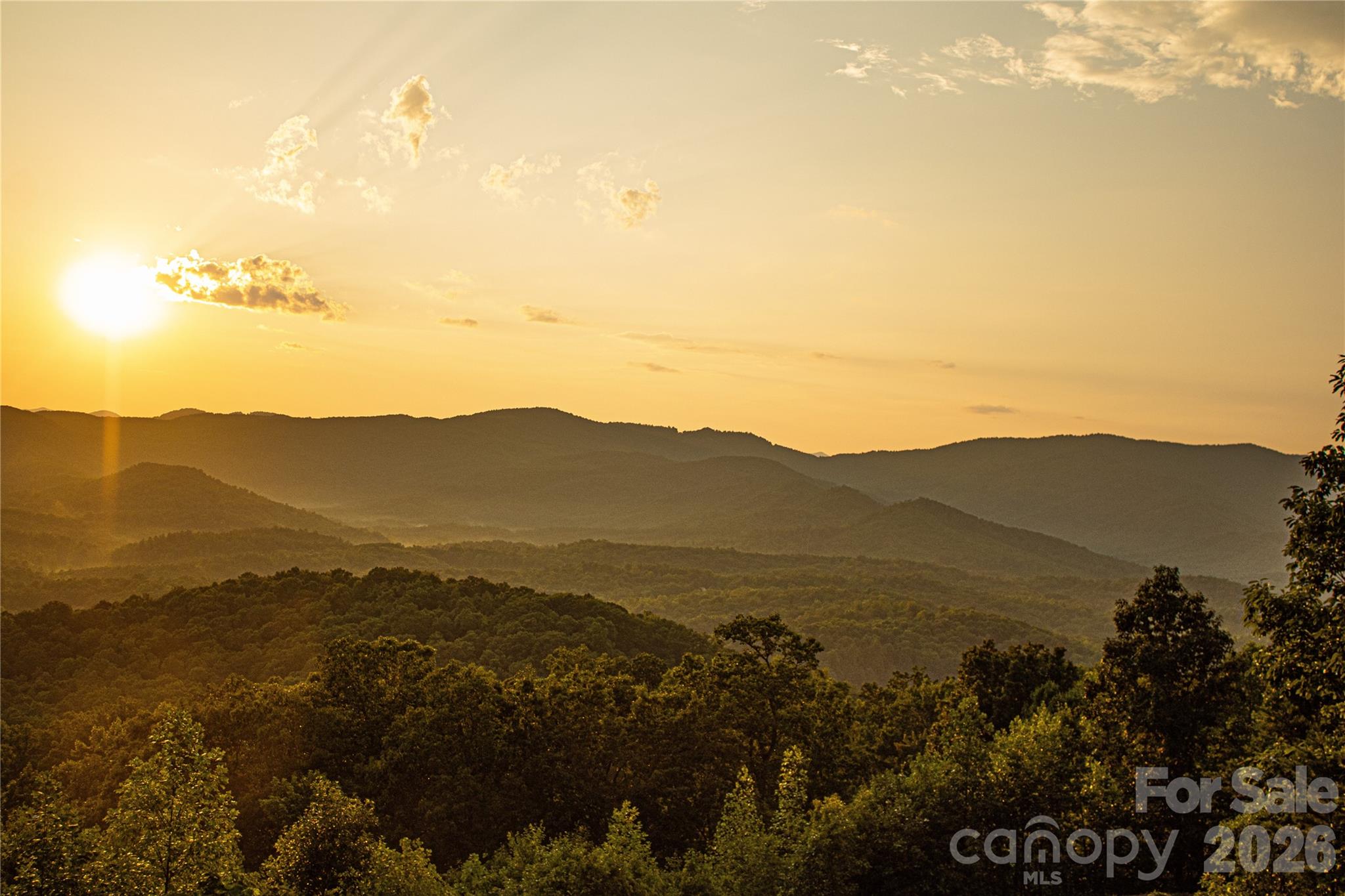 New Forest Mountain - Commercial Sale