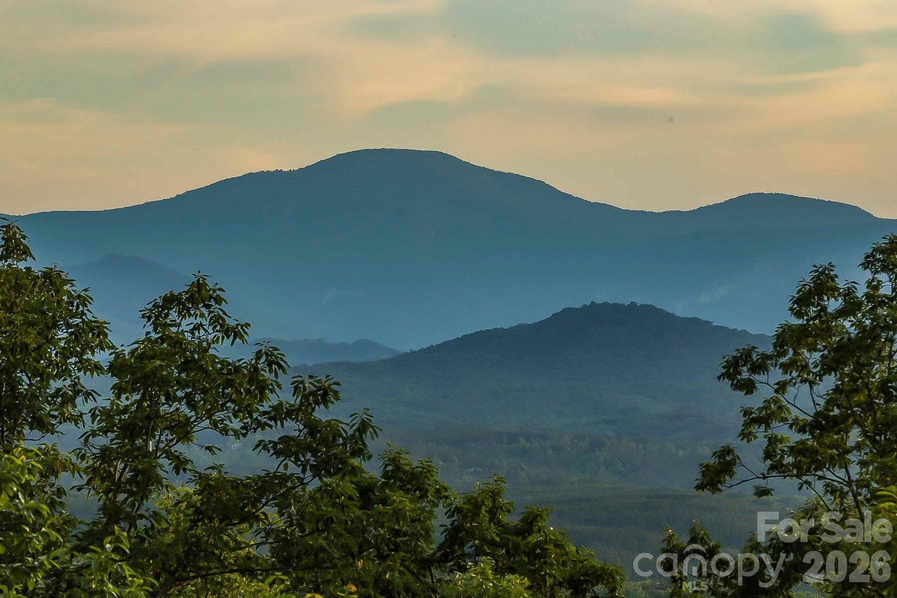 New Forest Mountain - Commercial Sale