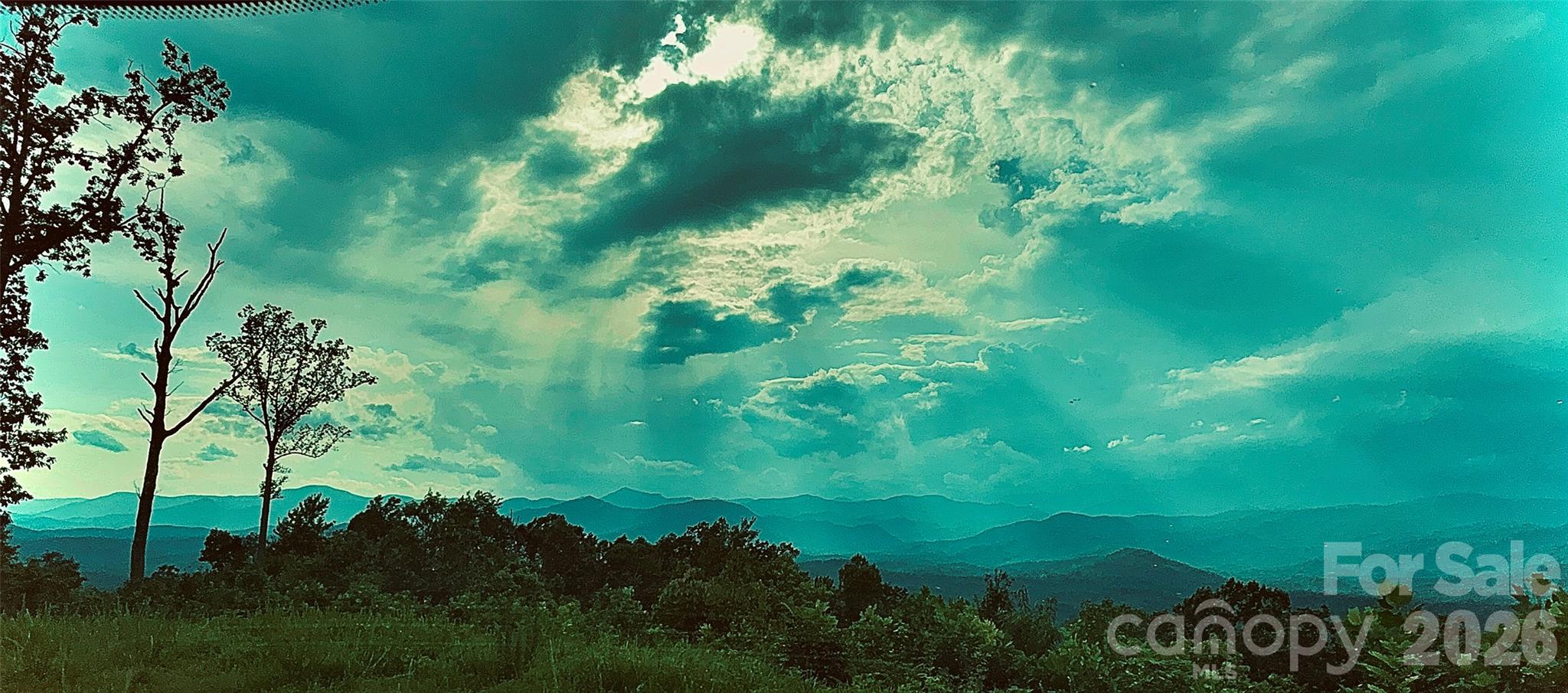 New Forest Mountain - Commercial Sale