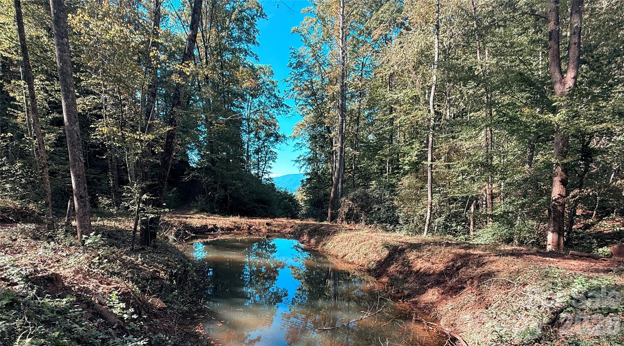 New Forest Mountain - Commercial Sale