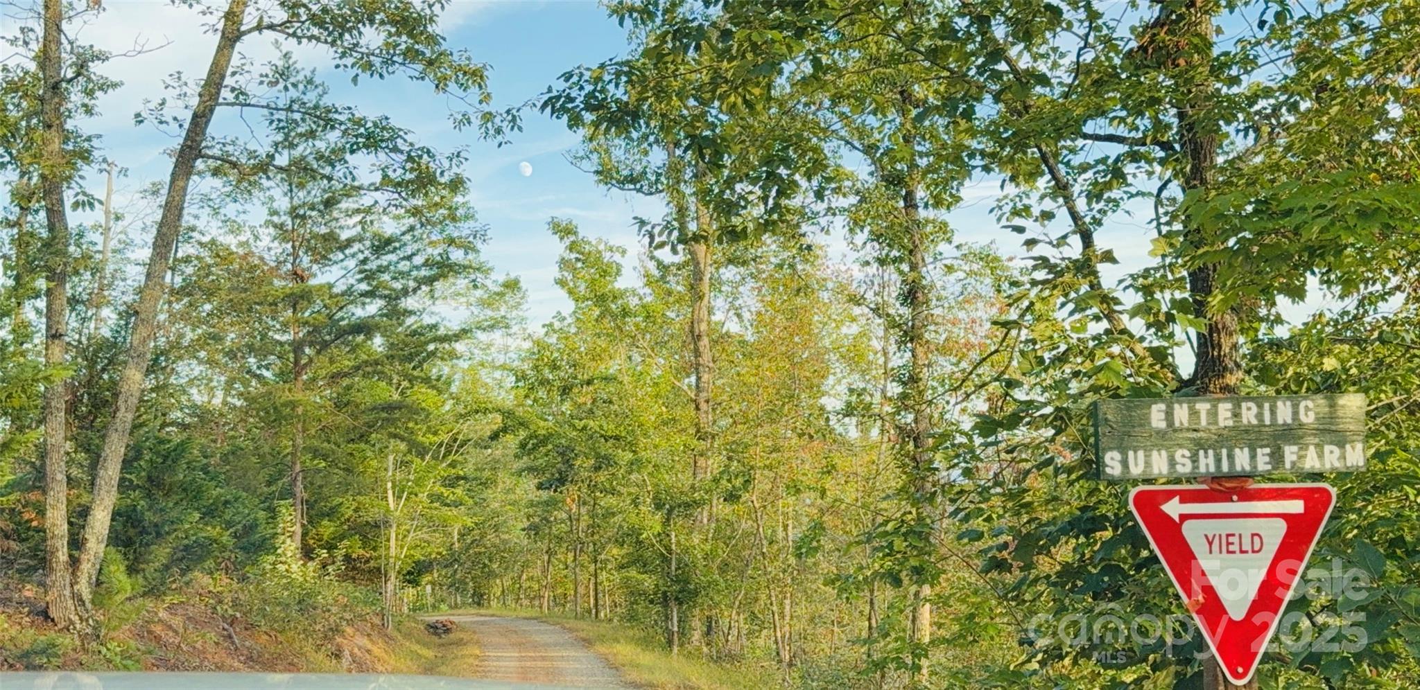 New Forest Mountain - Commercial Sale