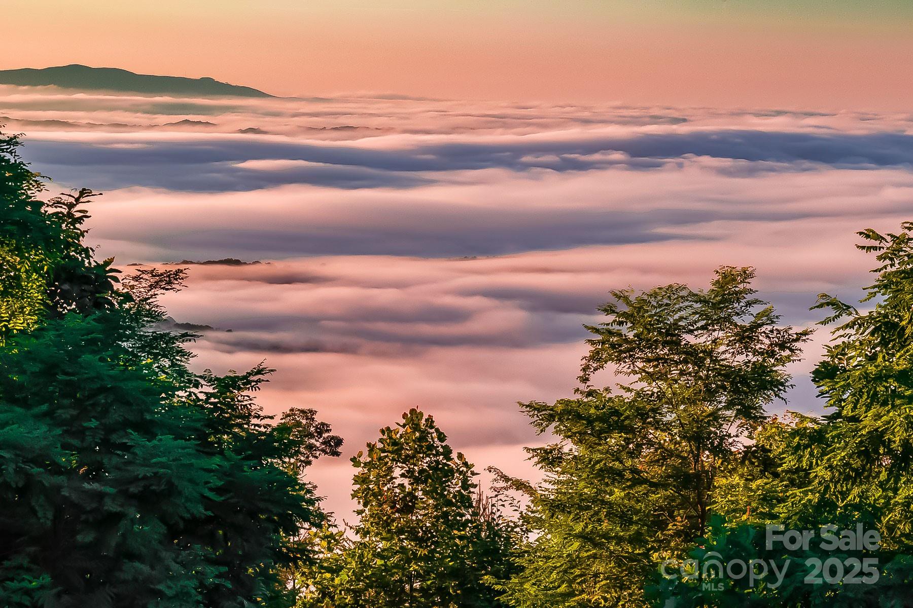 New Forest Mountain - Commercial Sale