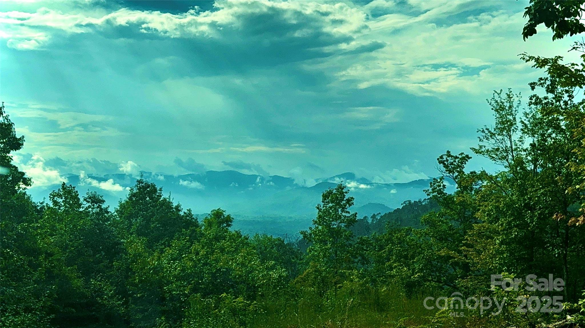 New Forest Mountain - Commercial Sale