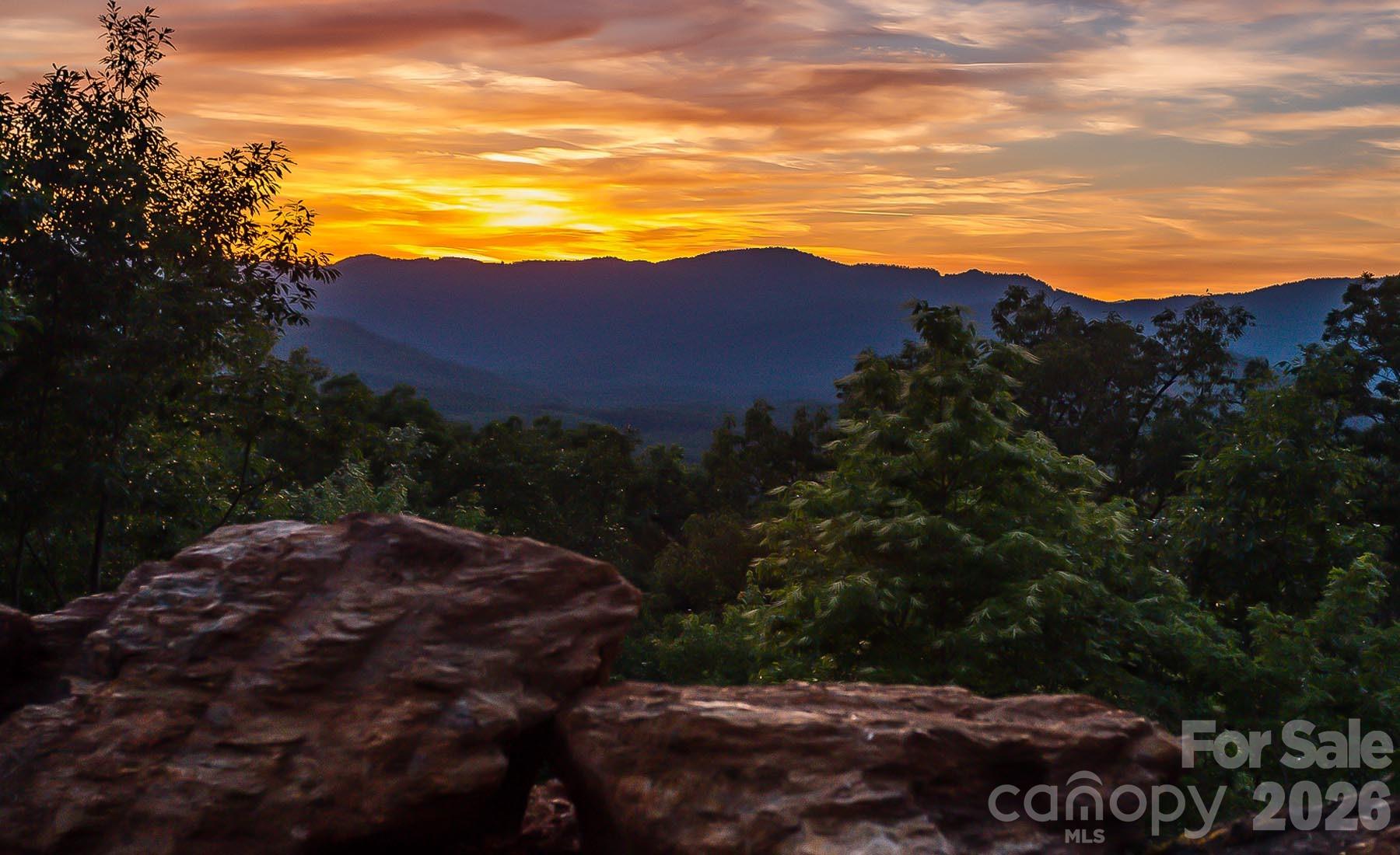 New Forest Mountain - Commercial Sale