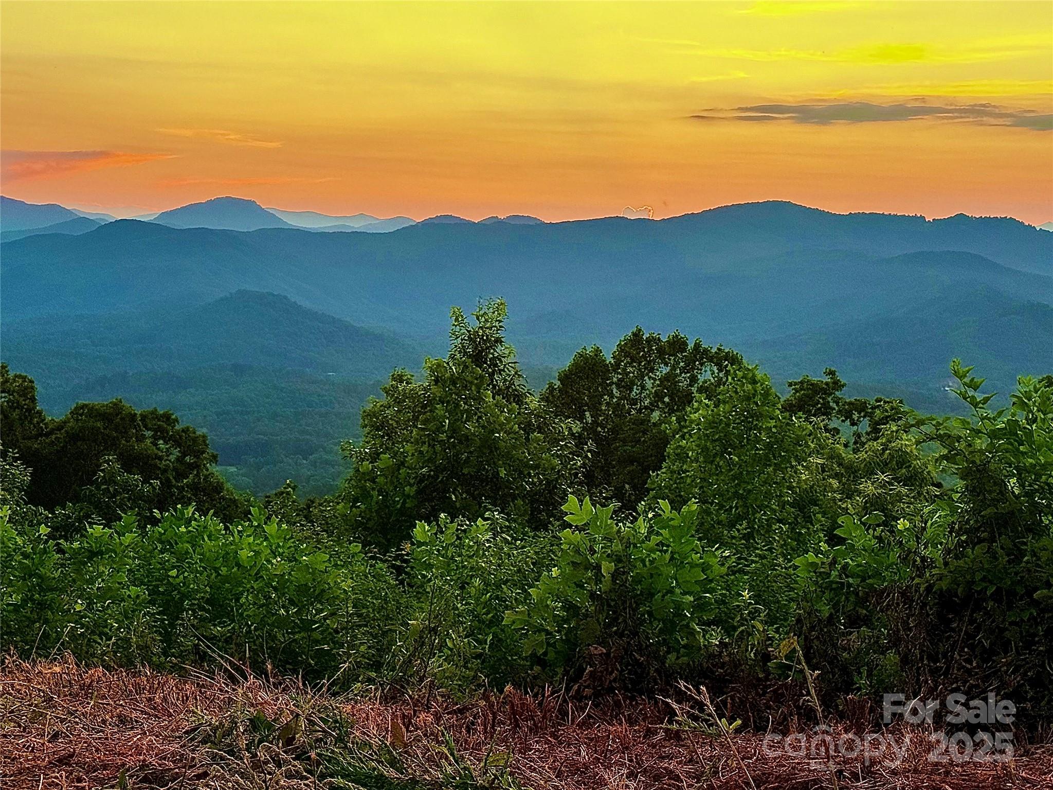 New Forest Mountain - Commercial Sale