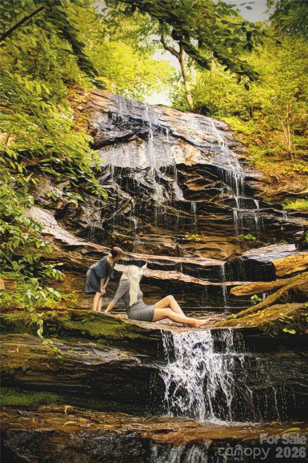 New Forest Mountain - Commercial Sale