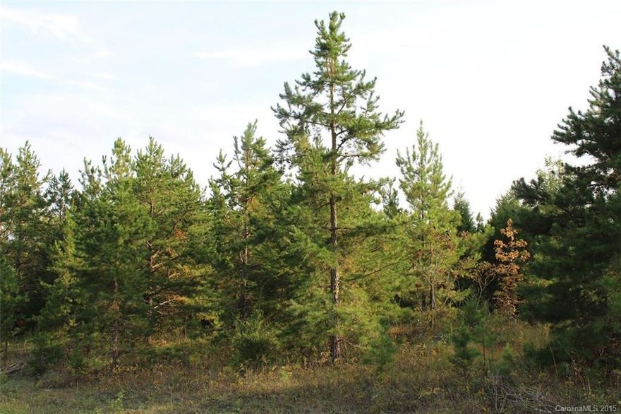 Wooded 21 acre tract with 450+ feet of road frontage. Minutes to Waxhaw. Convenient to Charlotte and Monroe. Zoned for residential/agricultural. Buyer responsible for survey, boundaries, flood plain, etc

BRING OFFERS!! BELOW TAX VALUE. PRICED FOR QUICK SALE