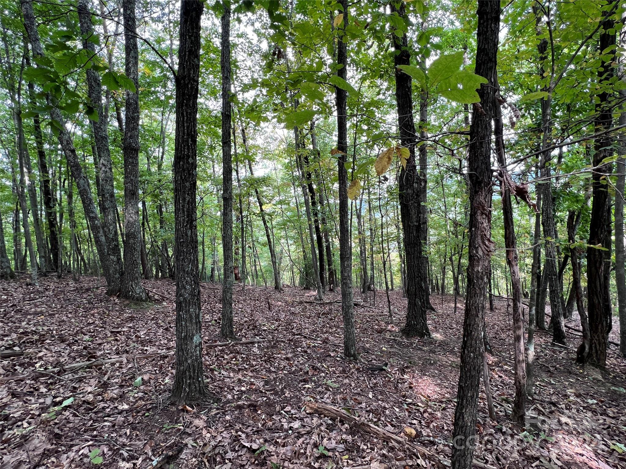 0 Scouts Trail