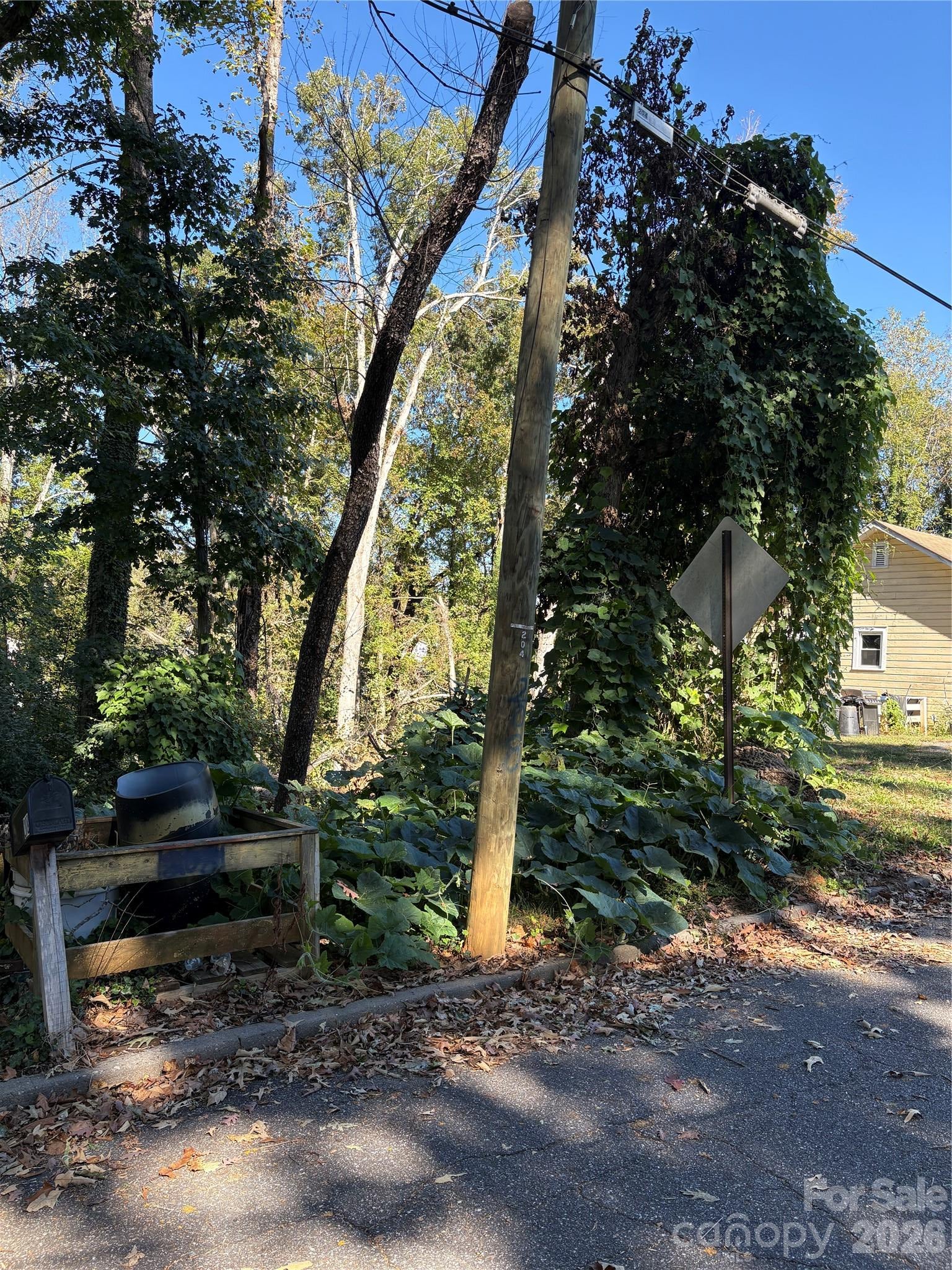 206 Jefferson Street