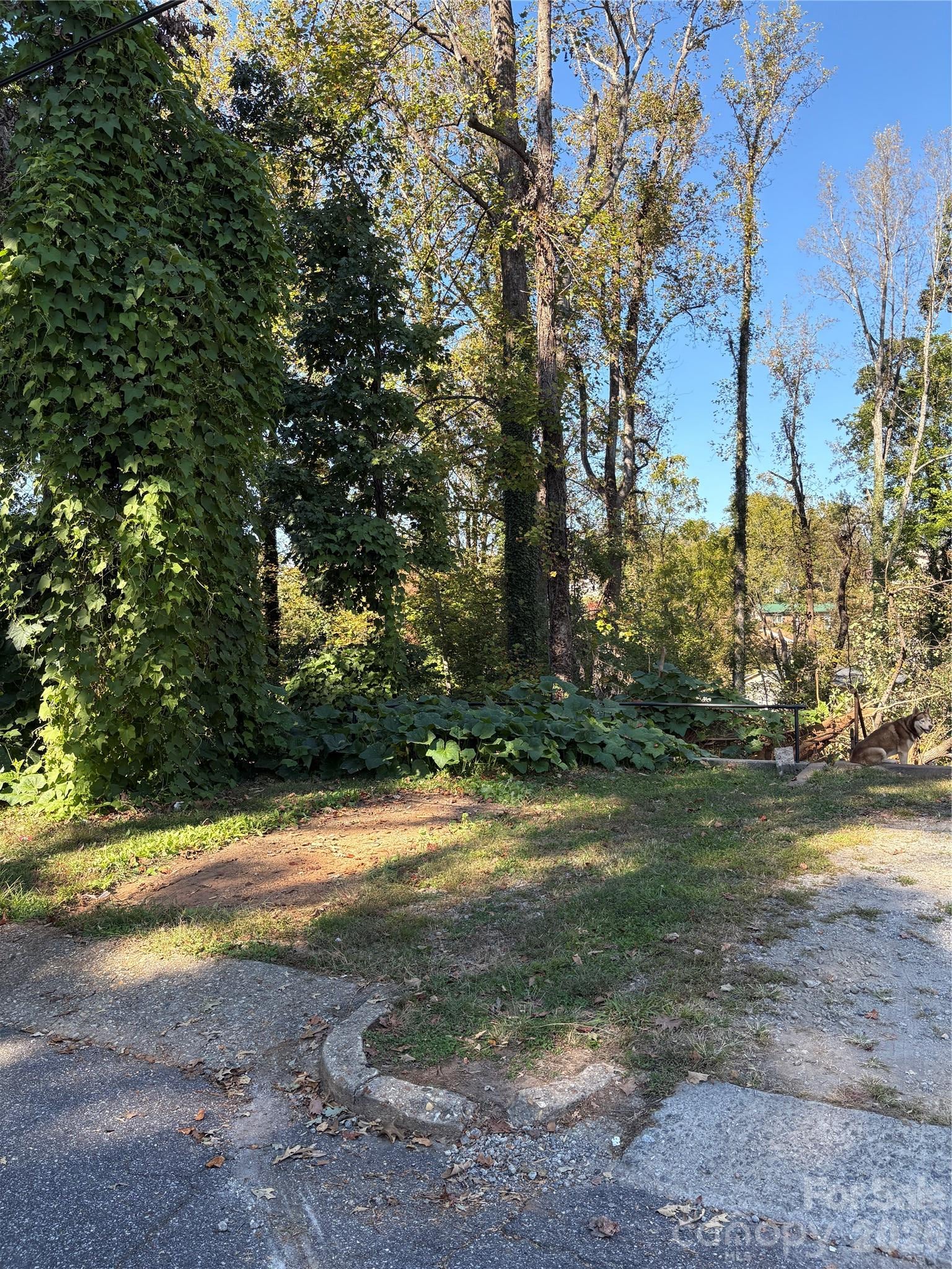 206 Jefferson Street