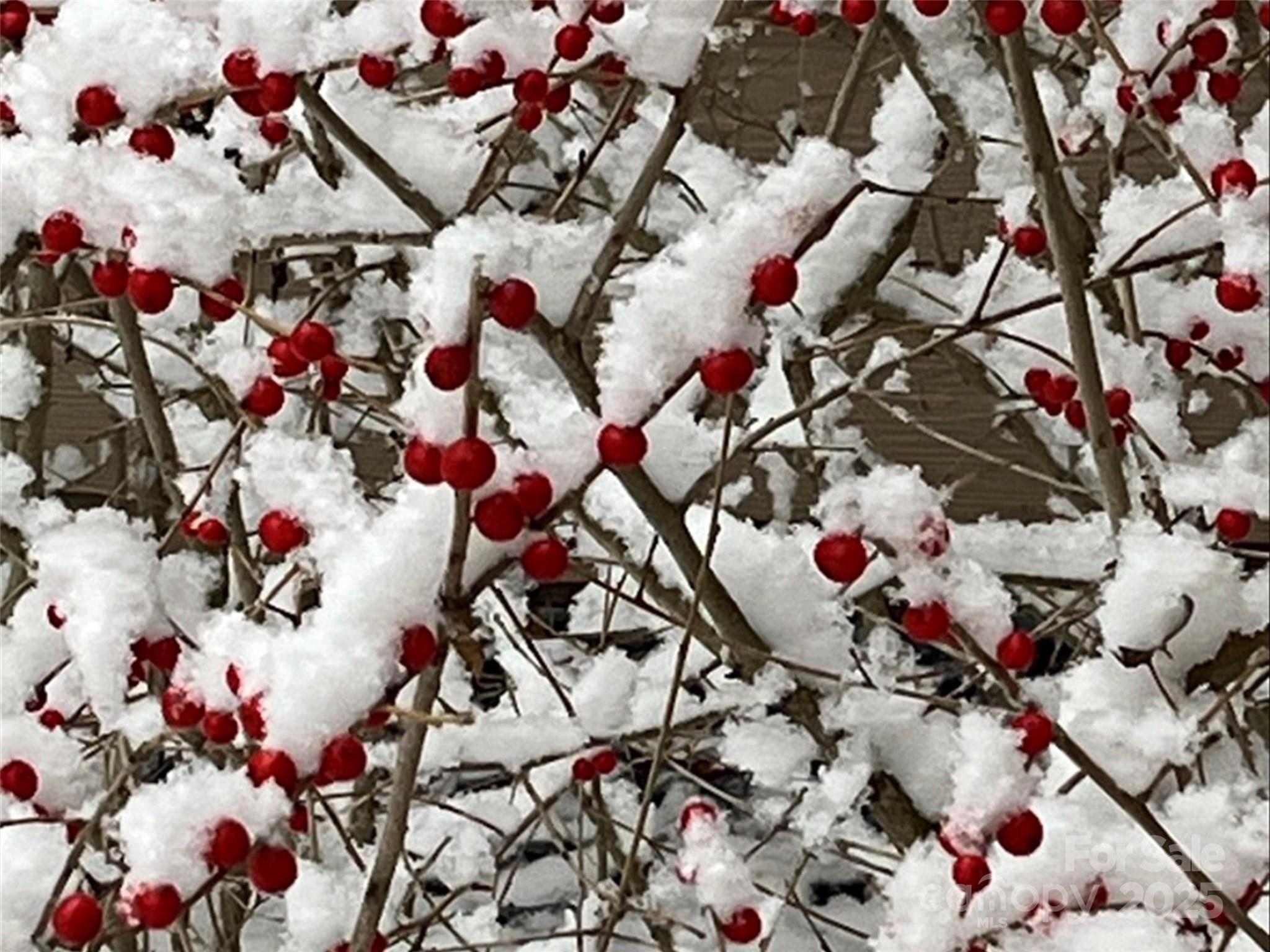 Laurel Ridge Country Club - Residential