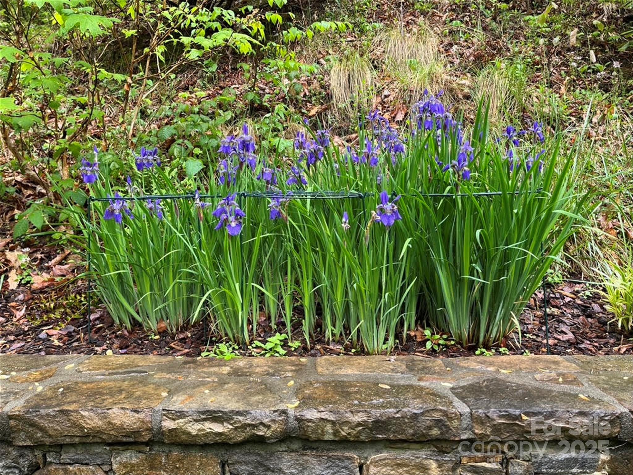 Laurel Ridge Country Club - Residential