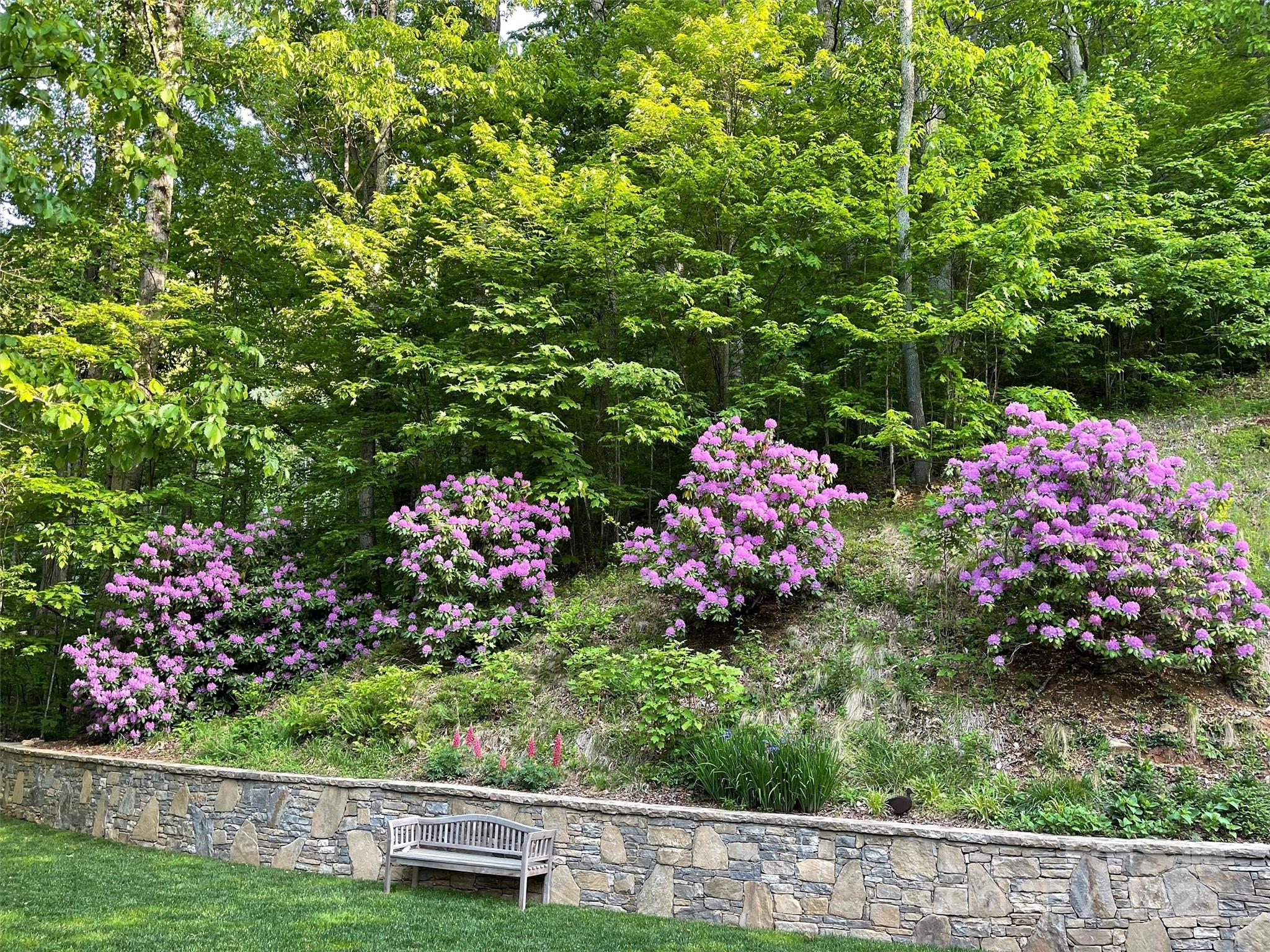 Laurel Ridge Country Club - Residential