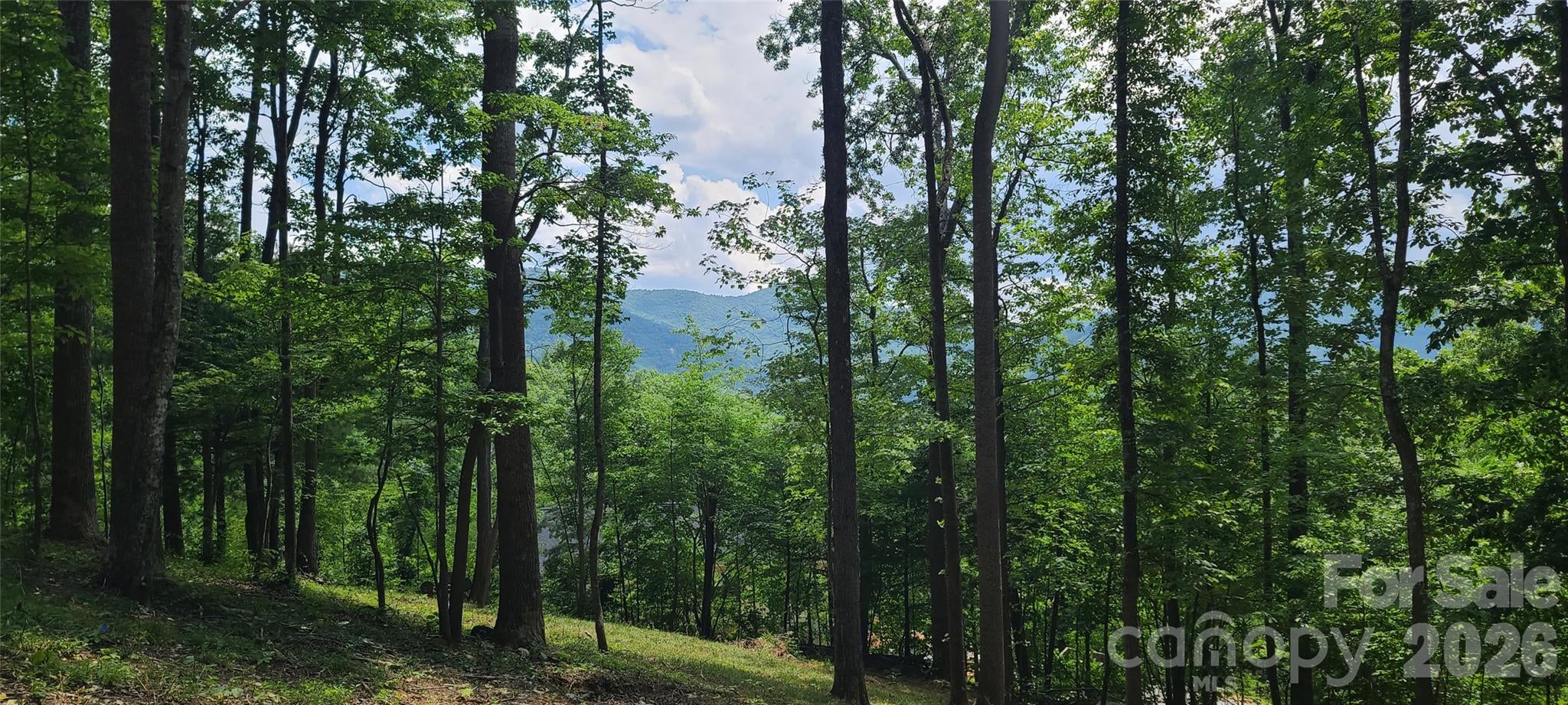 16 Nellie Bell Lane