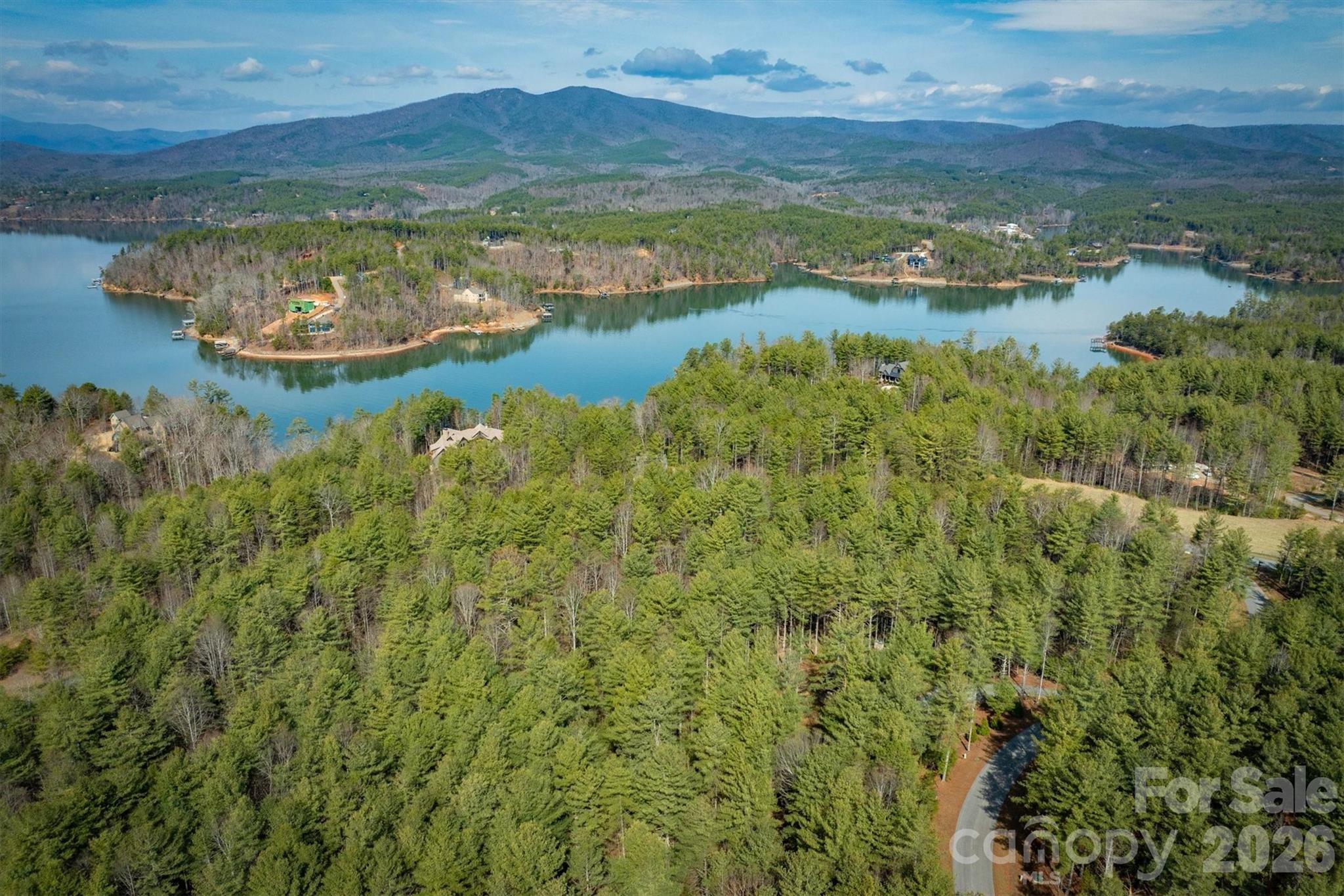 Old Wildlife Club - Residential