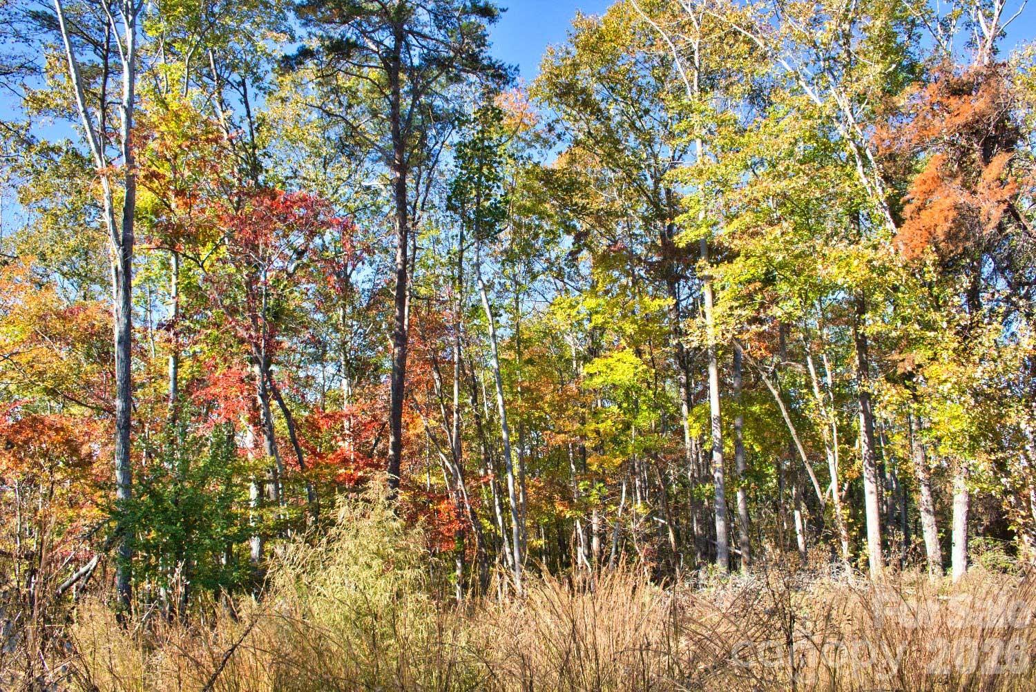 0 Wilderness Ridge 15