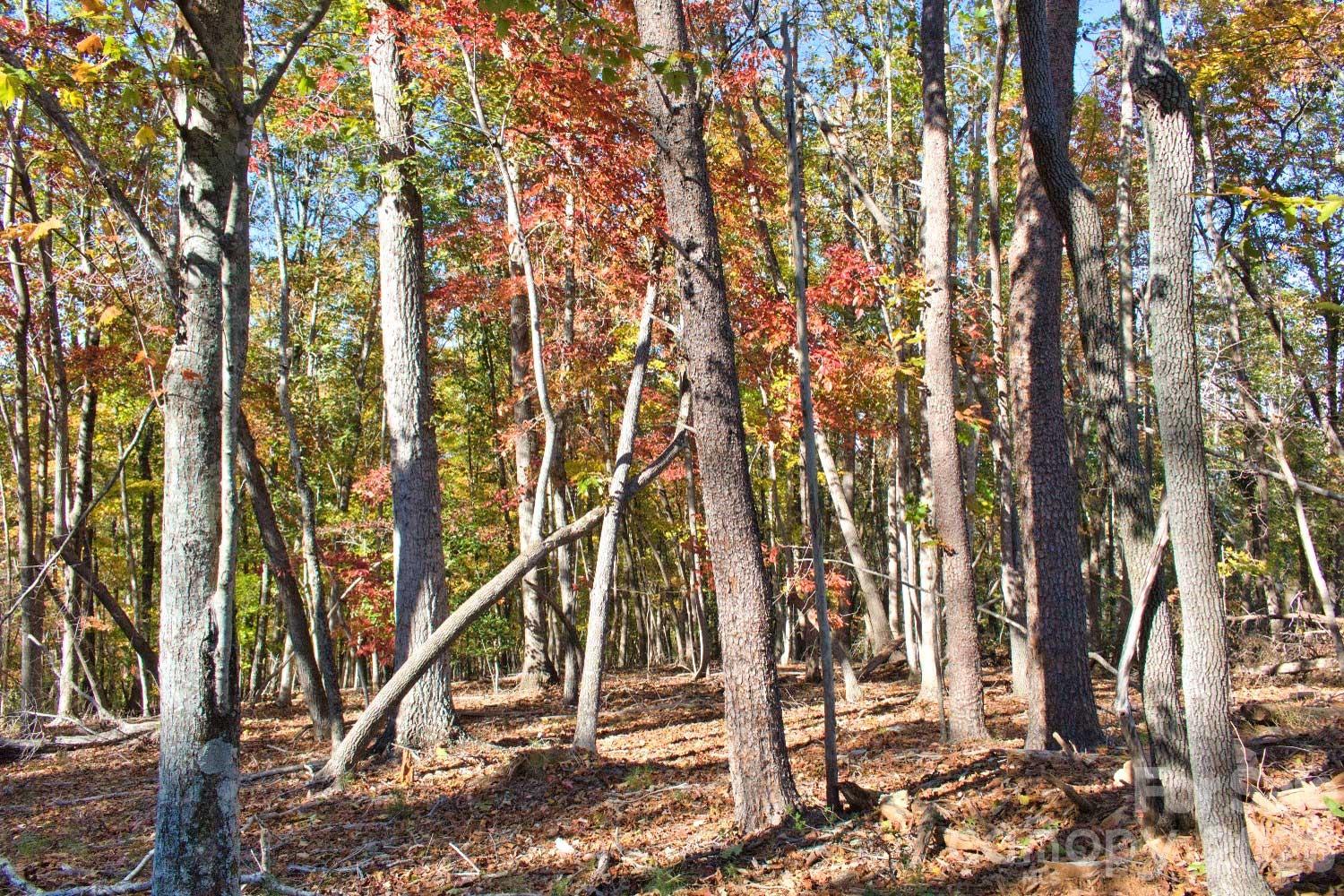 0 Wilderness Ridge 15