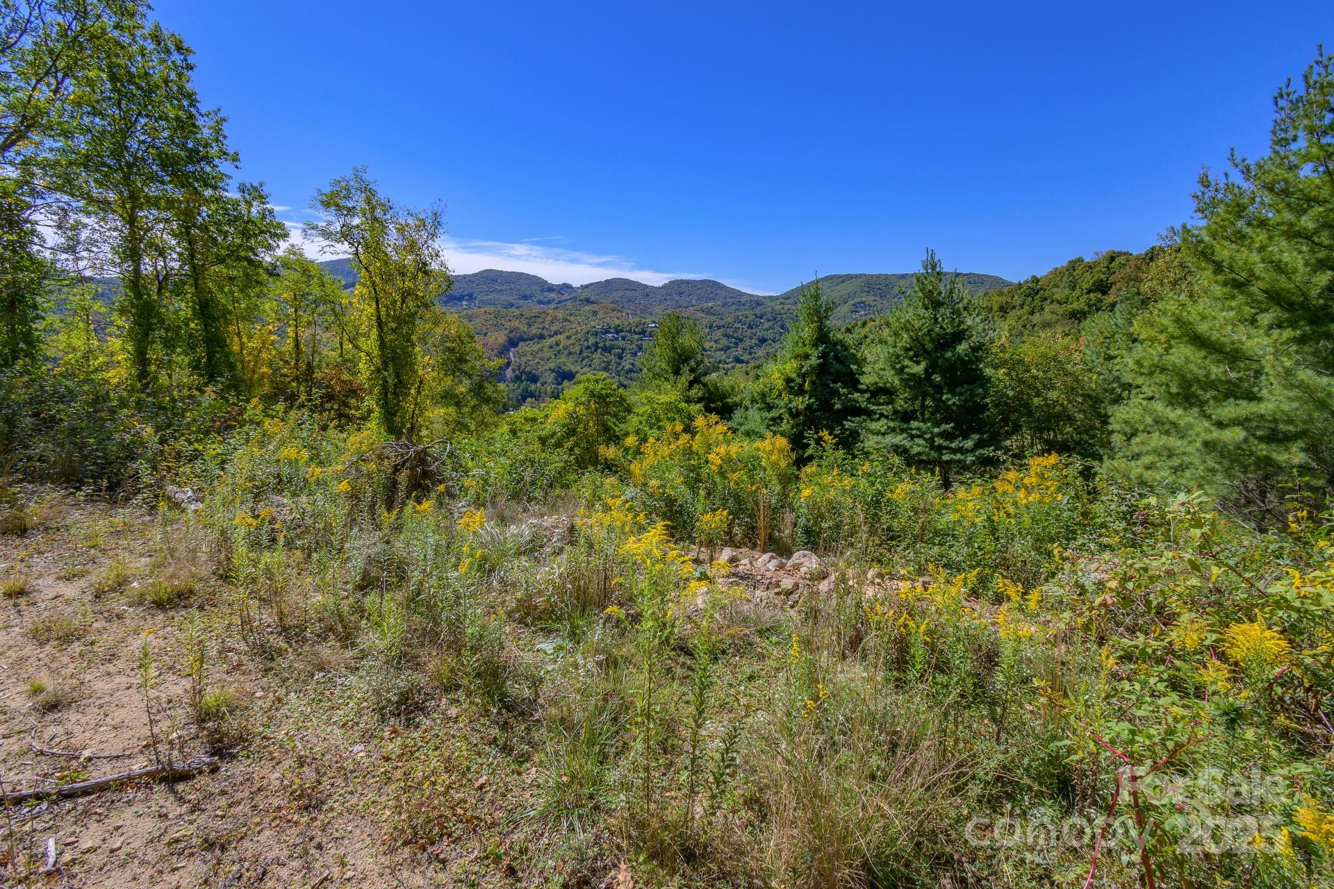 Silver Springs Farm - Land