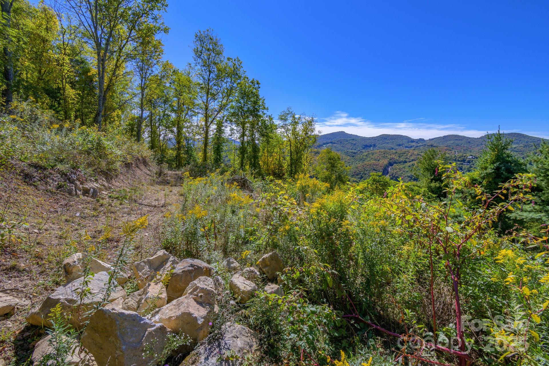 Silver Springs Farm - Land