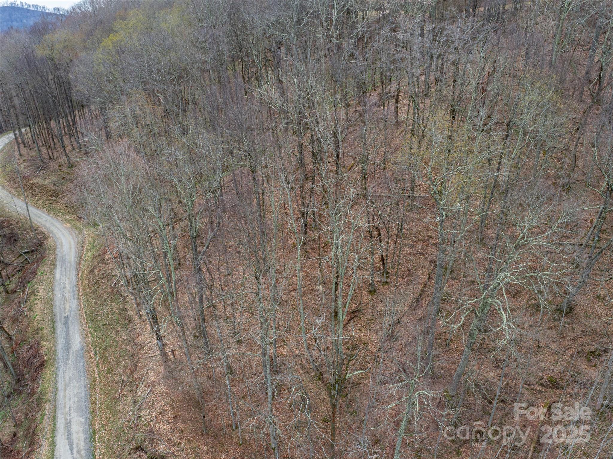 Lot 150 Puncheon Lane