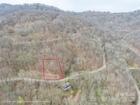 Lot 150 Puncheon Lane Mars Hill NC 28754