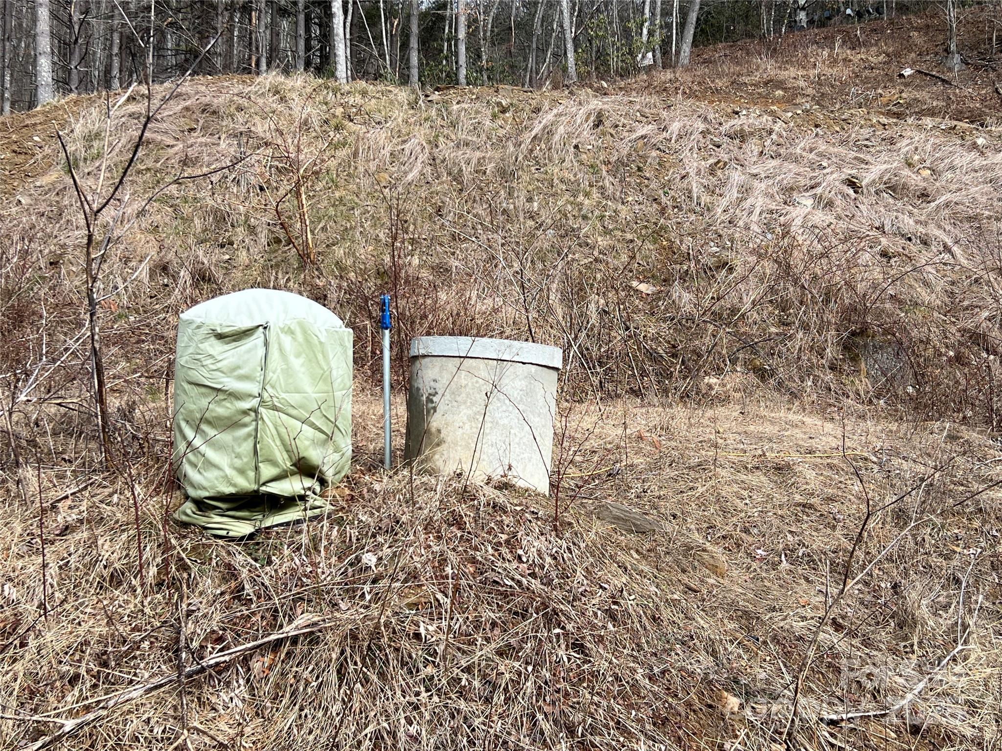 Evening Shadows - Land