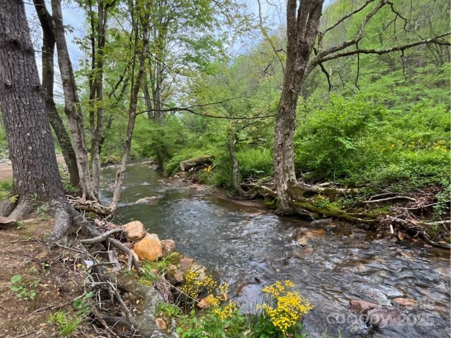 You finally found it! Mountain land with a BOLD Stream, shared well, newly issued septic permit, power hookup, driveway, and homesite in place. Best of all, it has minimal restrictions, which gives you tons of options when you're ready to build. Seller in process of obtaining septic permit. Located between Boone, West Jefferson, and Todd, you can enjoy hiking, biking, kayaking, and all the High Country has to offer within 20 minutes of your future front door. SAVE THOUSANDS OF DOLLARS when it comes time to build. The property has power installed, a shared well (with only one other property), the homesite has already been graded out, and you can drive right up to the building site. Down by the stream there is a flat area ideal for a fire pit, picnic area, or additional parking. It's hard to find mountain land with a stream, great location, and so much infrastructure in place. Don't wait, make plans to come see this unique opportunity in the High Country. Drive times: 2 hrs. from CLT.