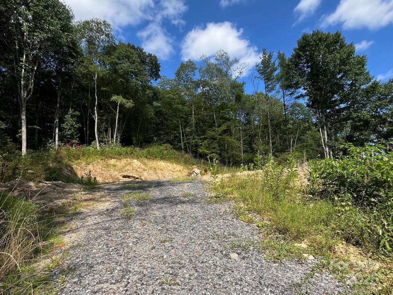 Evening Shadows - Land