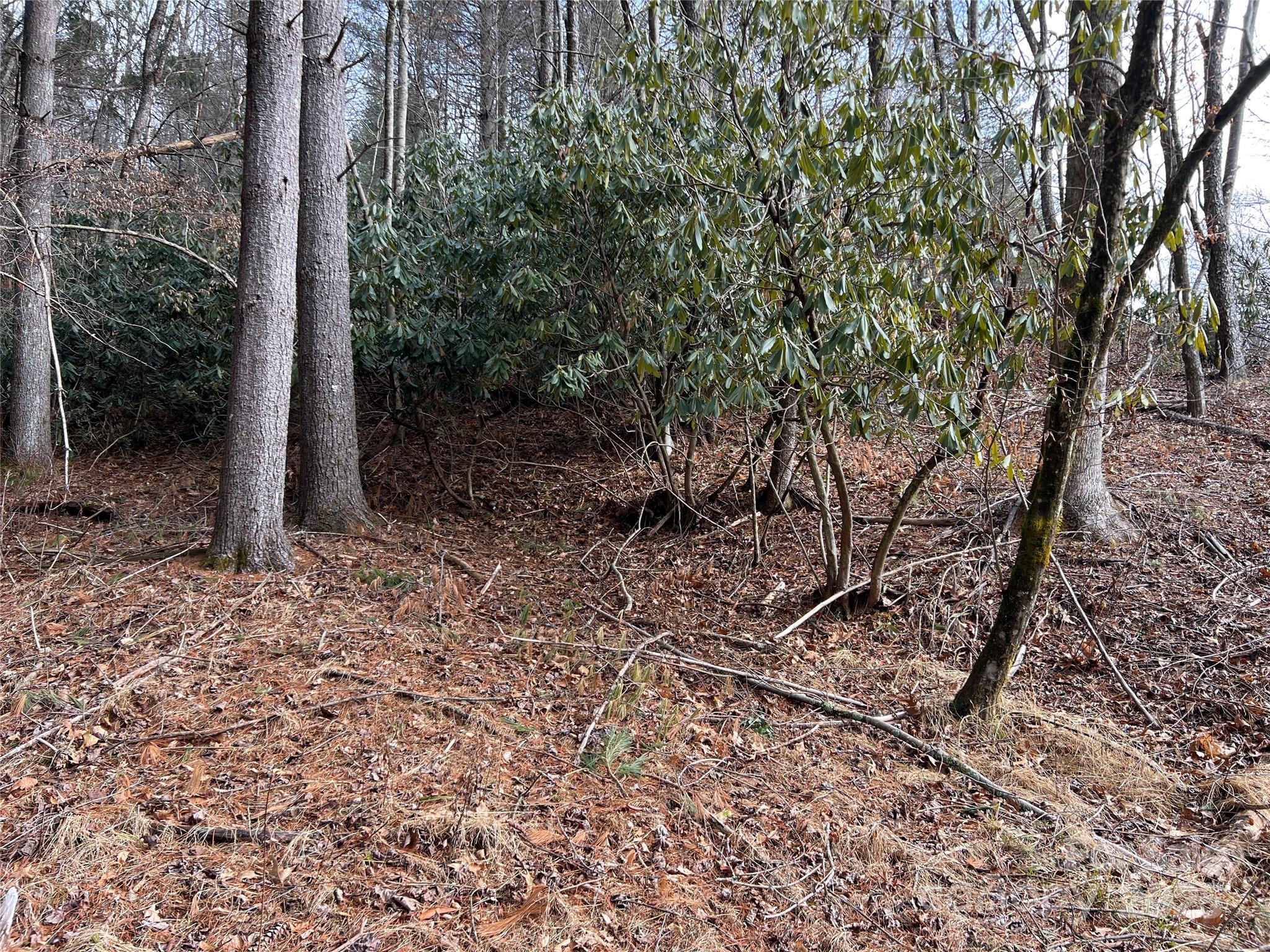 Evening Shadows - Land