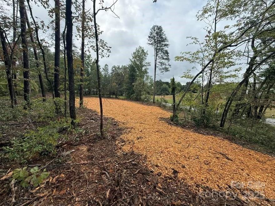 Buildable corner lots without a being part of subdivision or HOA are rare finds in Polk County! This parcel offers just that...with a minimum build size of just 1,000 sq ft.  This gives you great flexibility, so bring your builder and house plans and prepare for an easy build! The lot is mostly flat and usable, with a gentle rise above the road for natural drainage. A 3-bedroom septic permit (2023) is already on file, as well as a survey by the previous owner. The property sits in a lovely neighborhood of established homes, and with thoughtful placement, your new home could enjoy beautiful year-round mountain views. The lot did sustain storm damage during Helene, but the sellers have already taken care of removing tangled trees, a big step completed for you. Dogwood Court is a quiet dead-end street, offering a sense of privacy while still being just about 10 minutes from shopping, dining, hospital, TIEC and easy connections to I-26 and Hwy 74. Come see the potential this lot offers; a convenient location, a convenient community, and room to create the home you’ve been envisioning.
