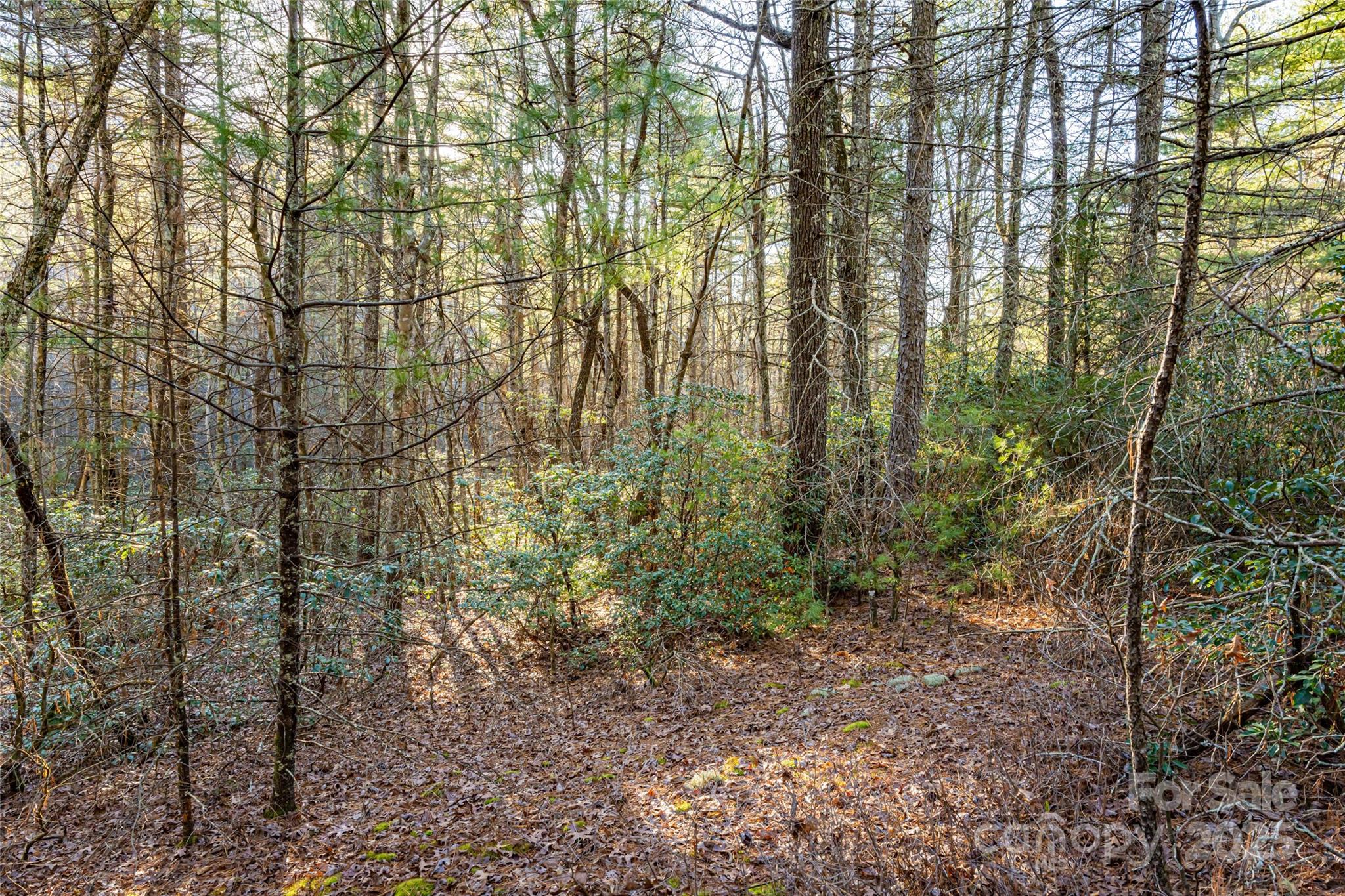 Green River Ridges - Land