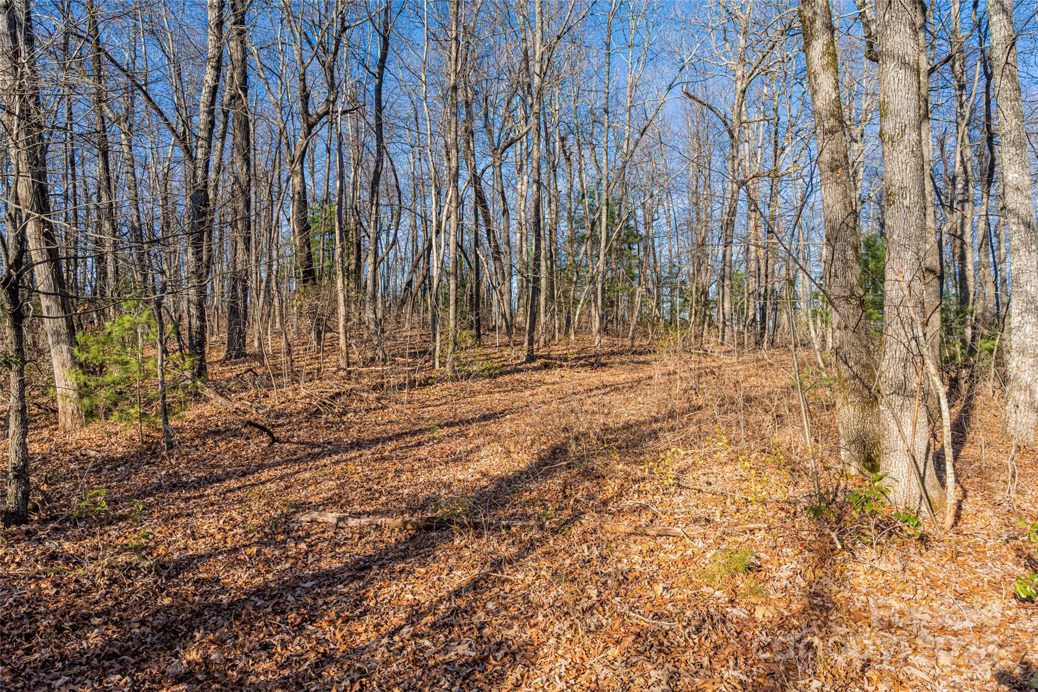 Green River Ridges - Land