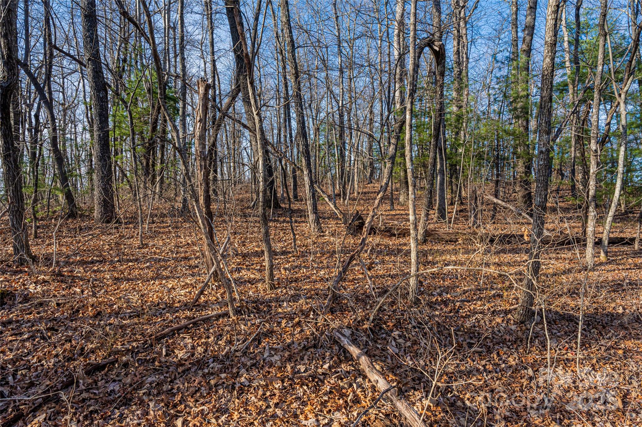 Green River Ridges - Land