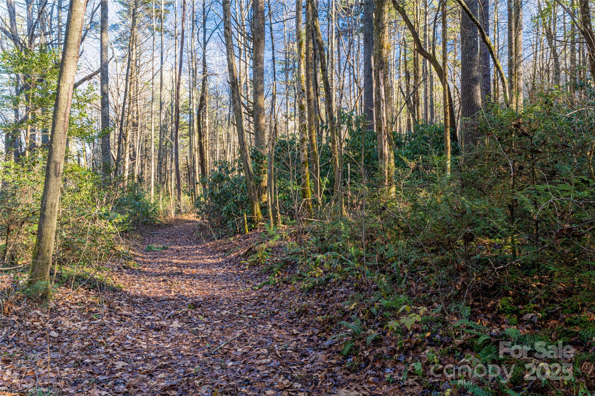 Green River Ridges - Land