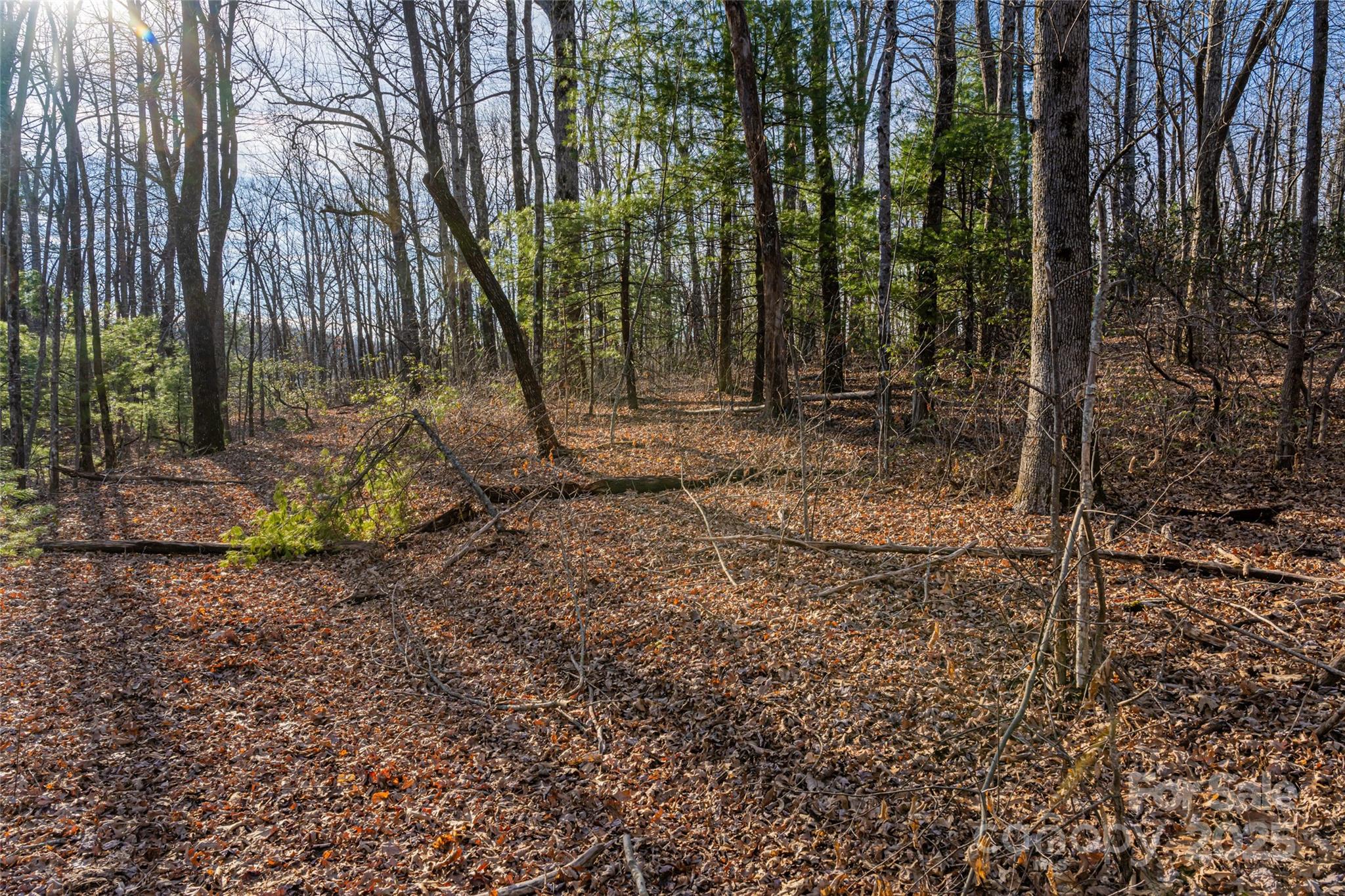 Green River Ridges - Land