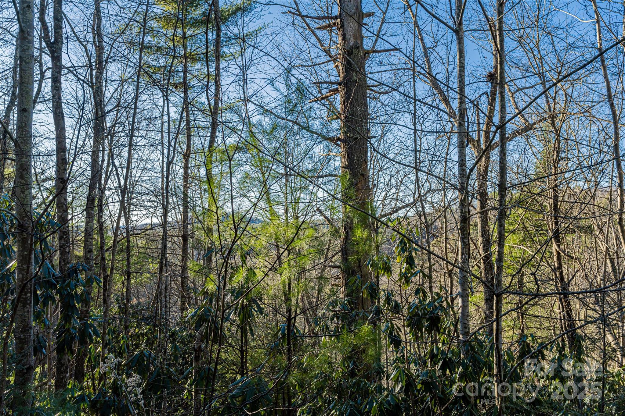 Green River Ridges - Land