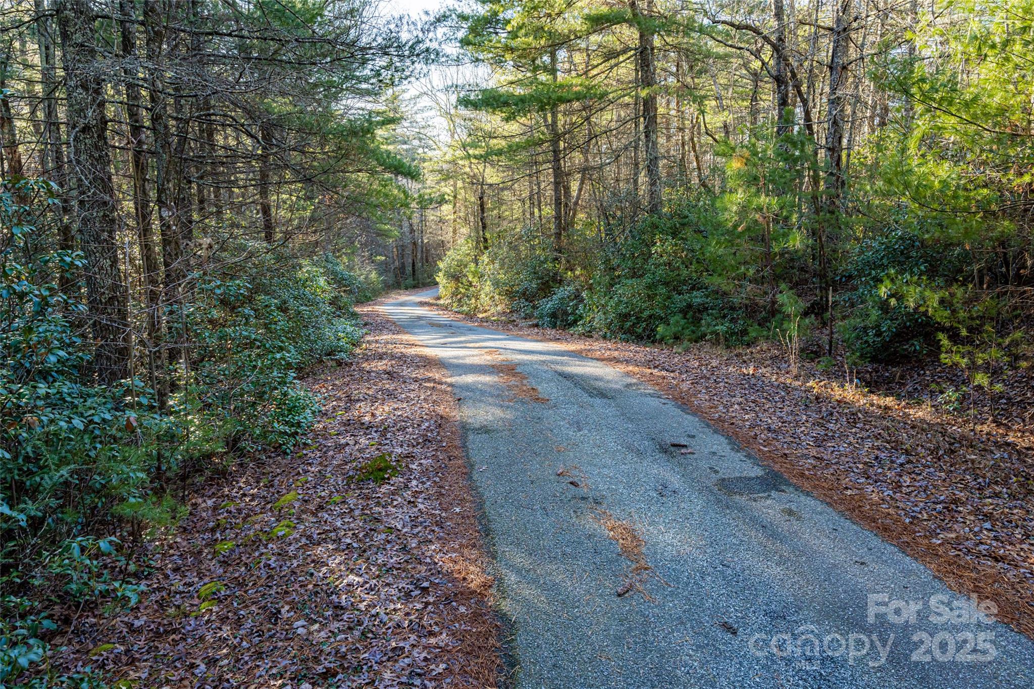 167 Shoal Creek Road 22