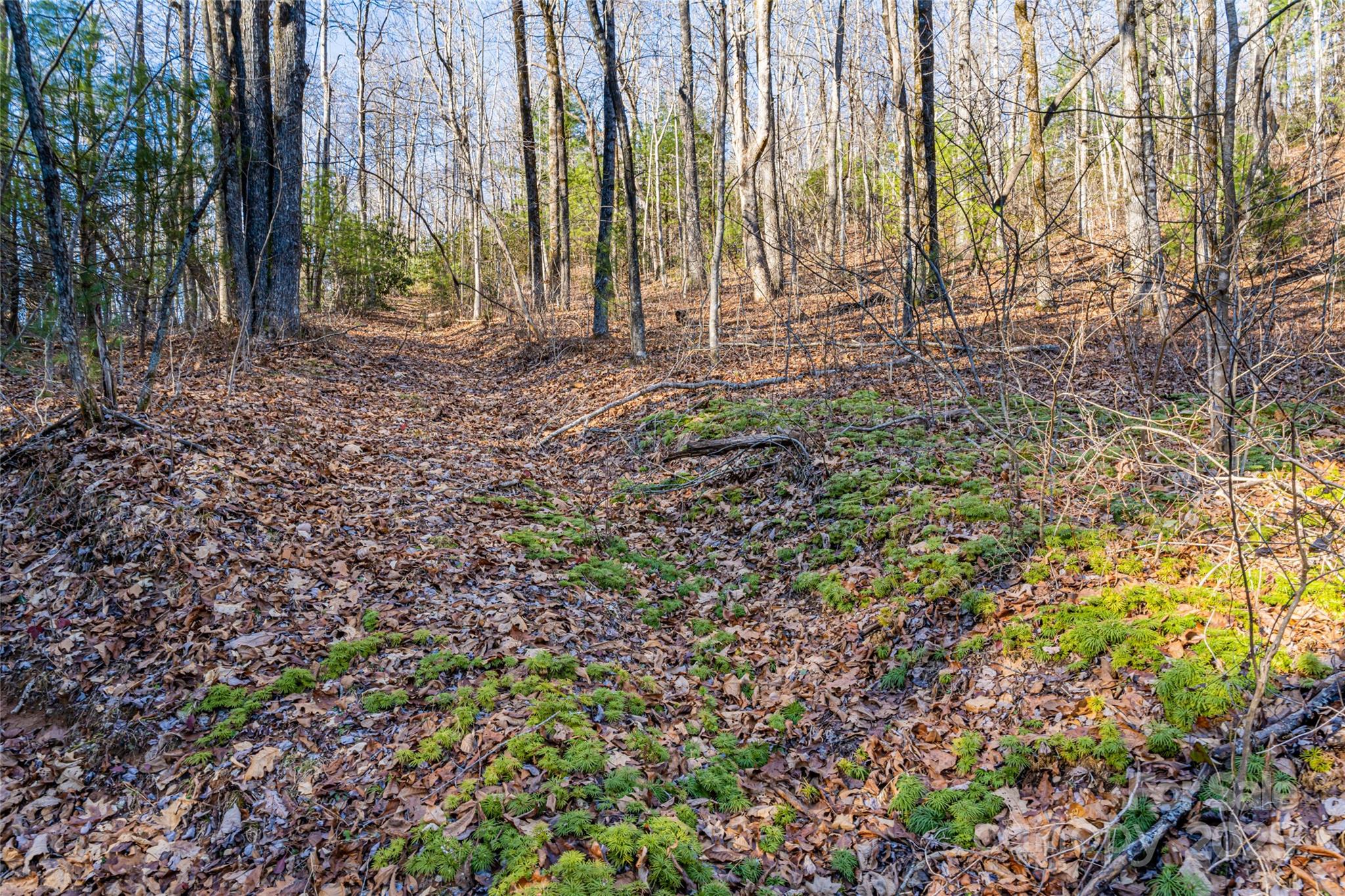 167 Shoal Creek Road 22