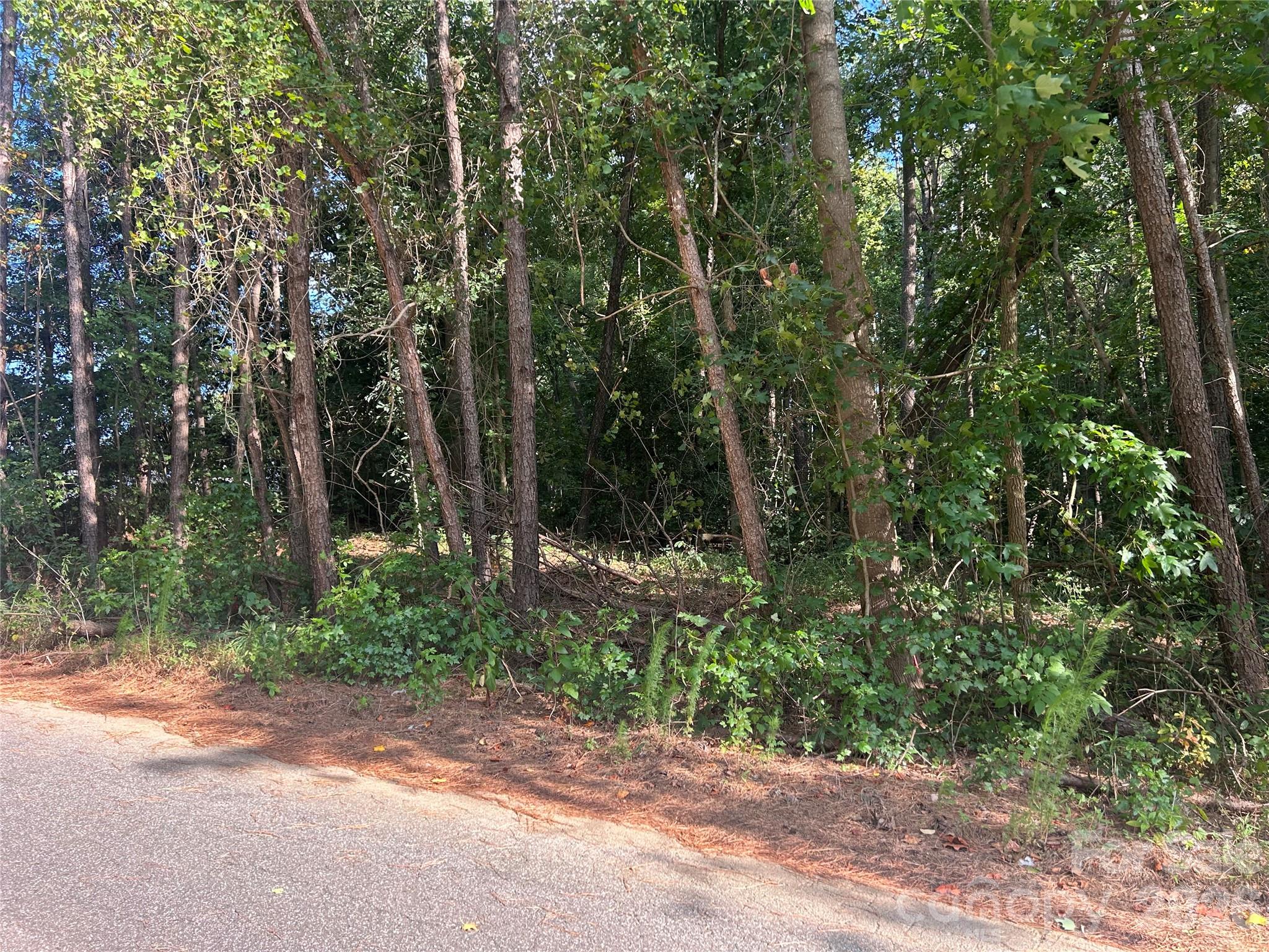00 Knottywood Lane 26
