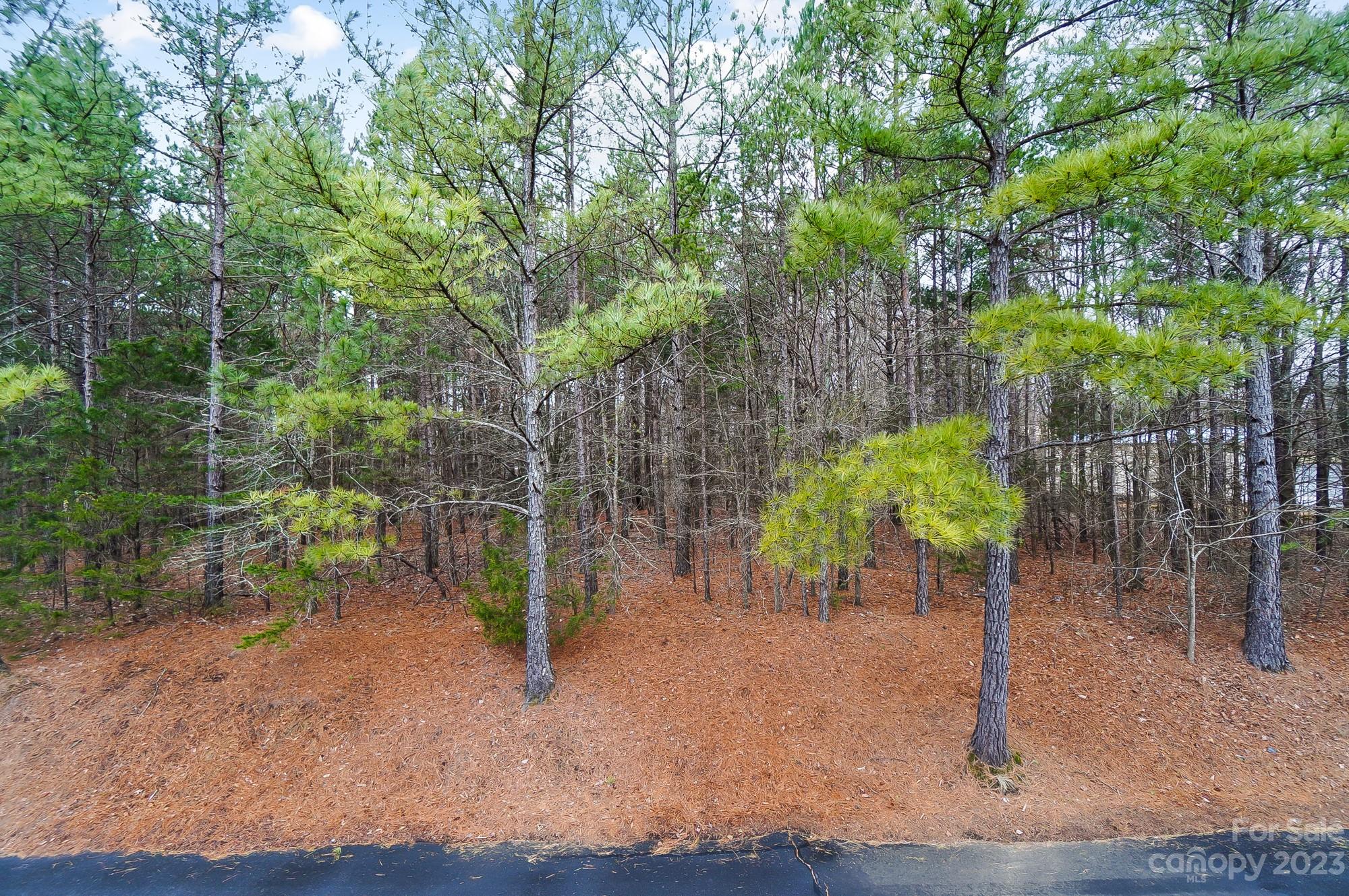 Parkview at Matthews - Residential