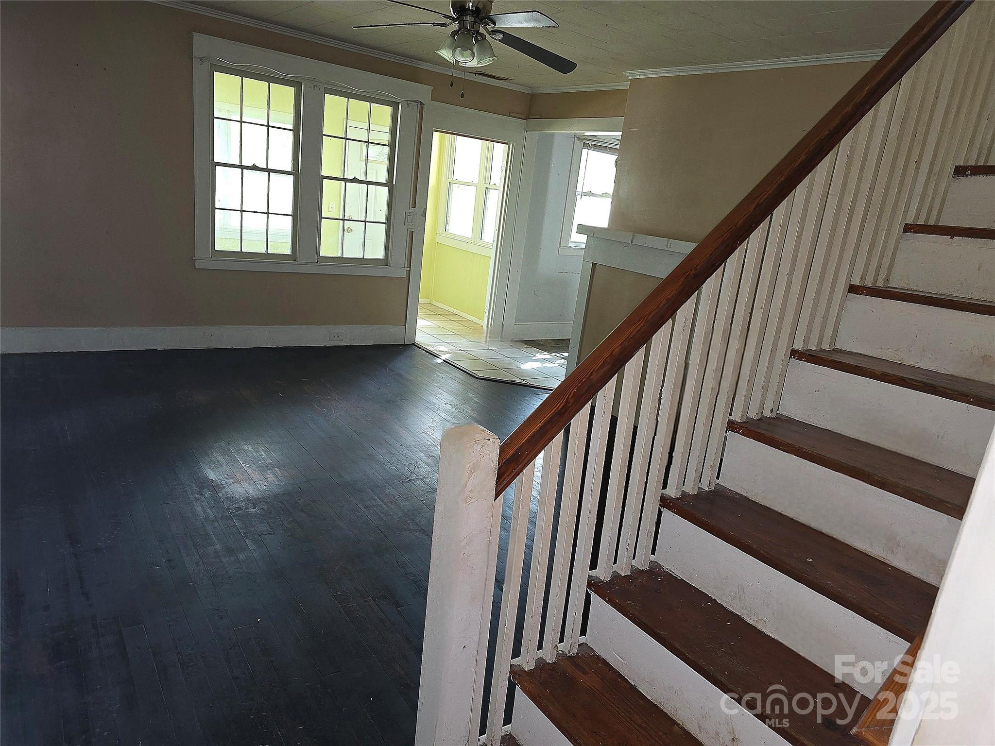 29 Willow Street 31